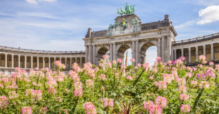 Bruxelles tapis de fleurs géant