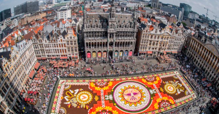 Bruxelles tapis de fleurs géant